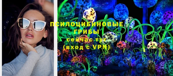 ГАЛЛЮЦИНОГЕННЫЕ ГРИБЫ Лиски