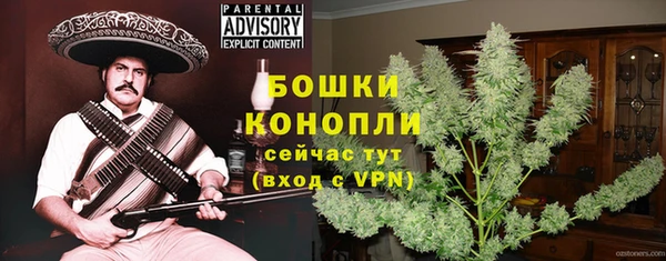 ГАЛЛЮЦИНОГЕННЫЕ ГРИБЫ Лиски