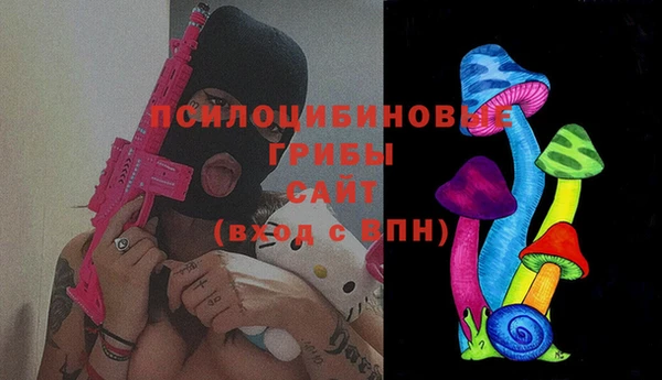 PSILOCYBIN Снежногорск