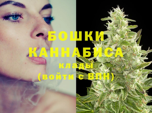 МДМА Новодвинск